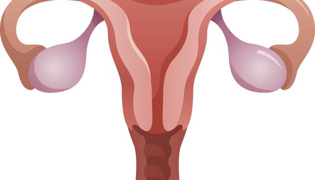 ©istock.com/Aaltazar